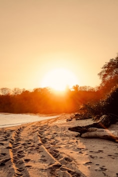 the sun is setting over a beach with tracks in the sand