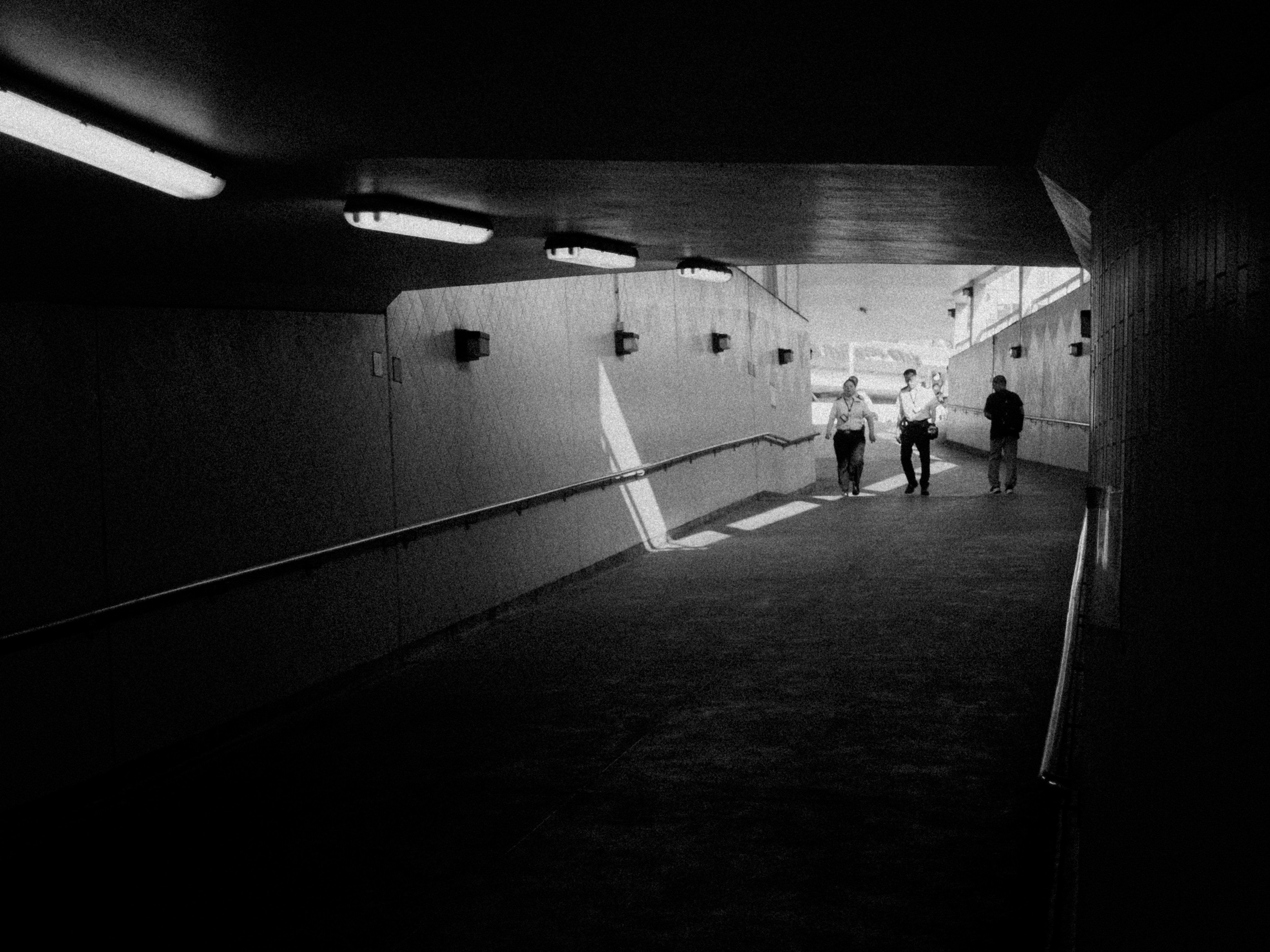 Photo by catgirlmutant