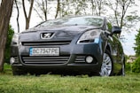 A dark grey Peugeot car is parked on a grassy area surrounded by natural scenery. The vehicle has a Ukrainian license plate and is positioned at an angle with trees in the background, partially obscuring the sky.