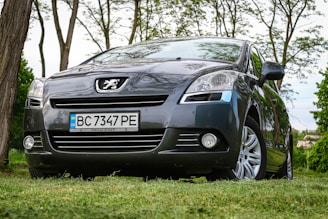 A dark grey Peugeot car is parked on a grassy area surrounded by natural scenery. The vehicle has a Ukrainian license plate and is positioned at an angle with trees in the background, partially obscuring the sky.
