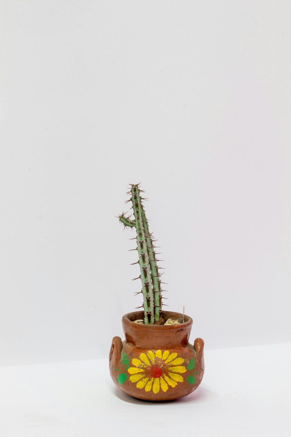 a potted plant with a yellow flower on it