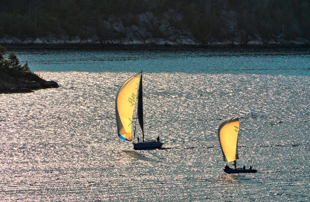 a couple of sail boats floating on top of a lake