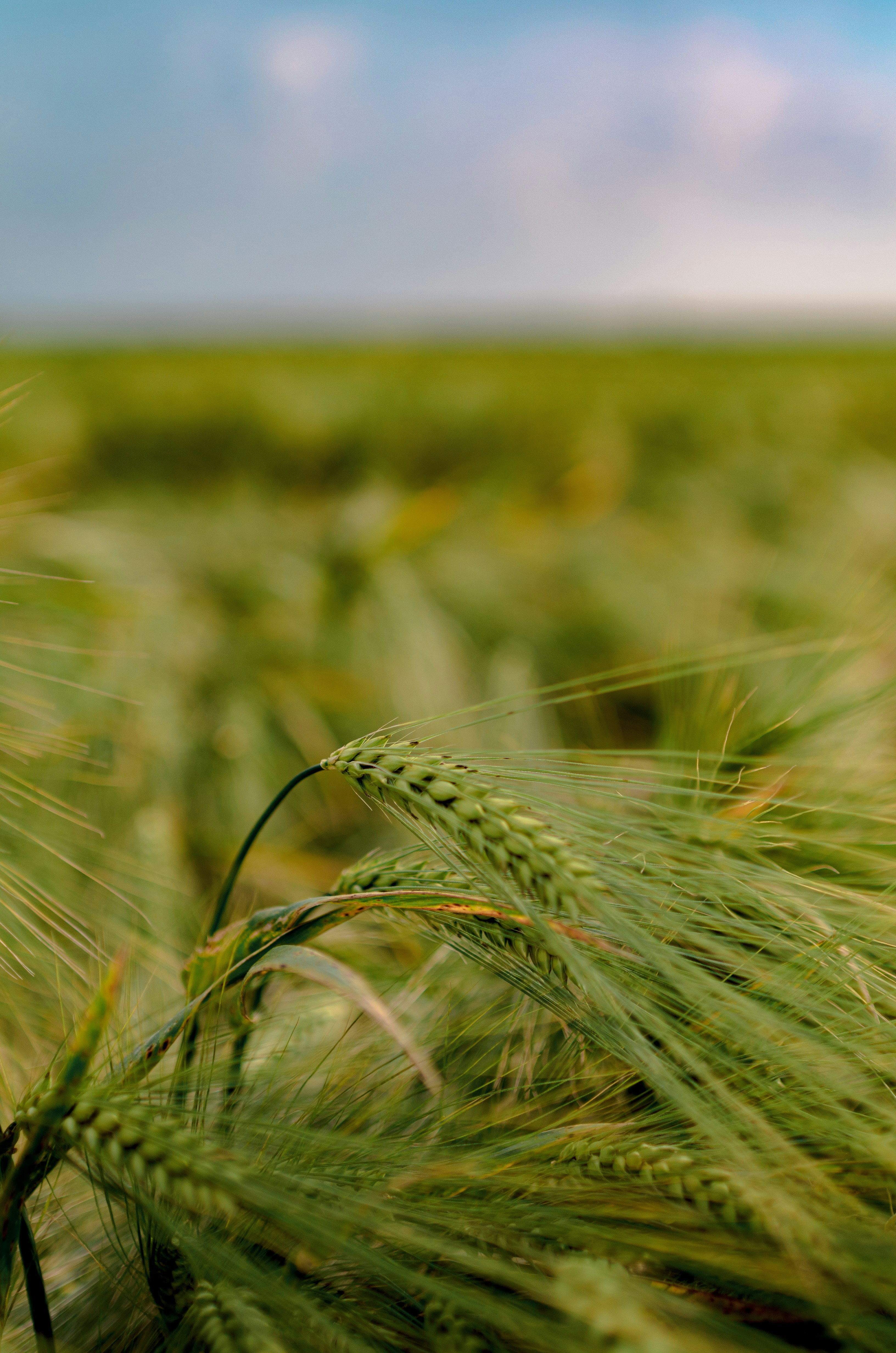 Photo by gamanalice3012