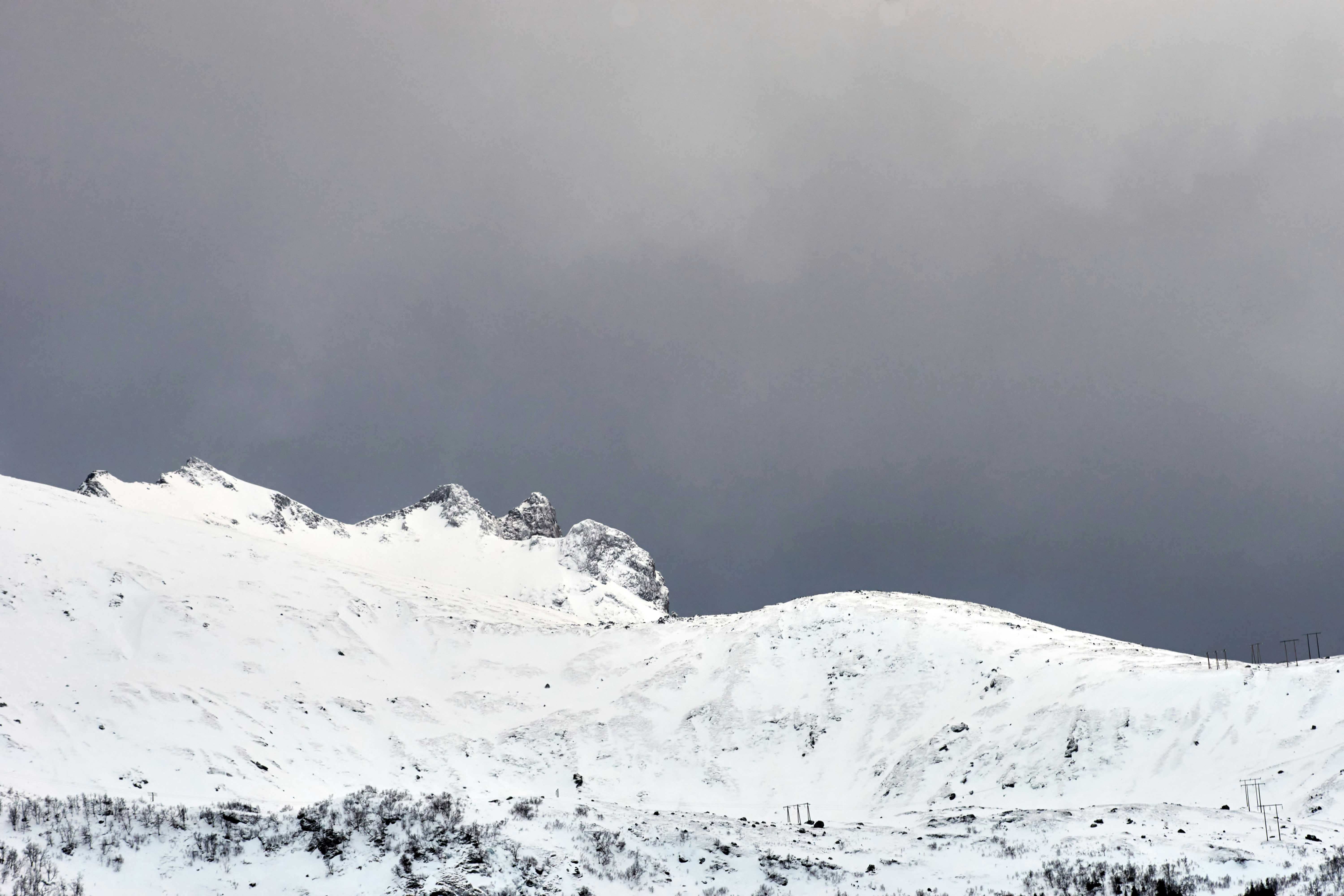 Photo by wolfgang_hasselmann