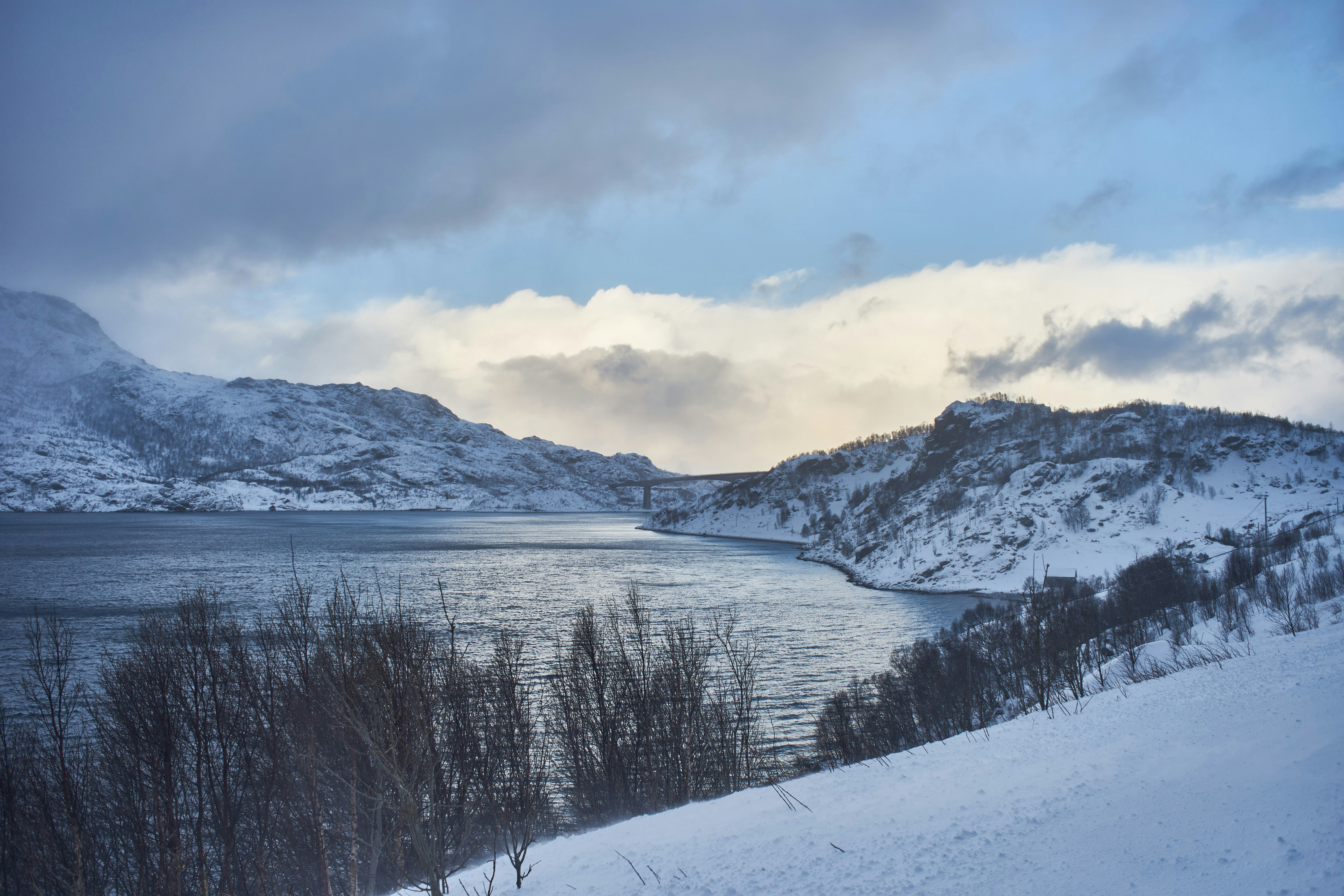 Photo by wolfgang_hasselmann