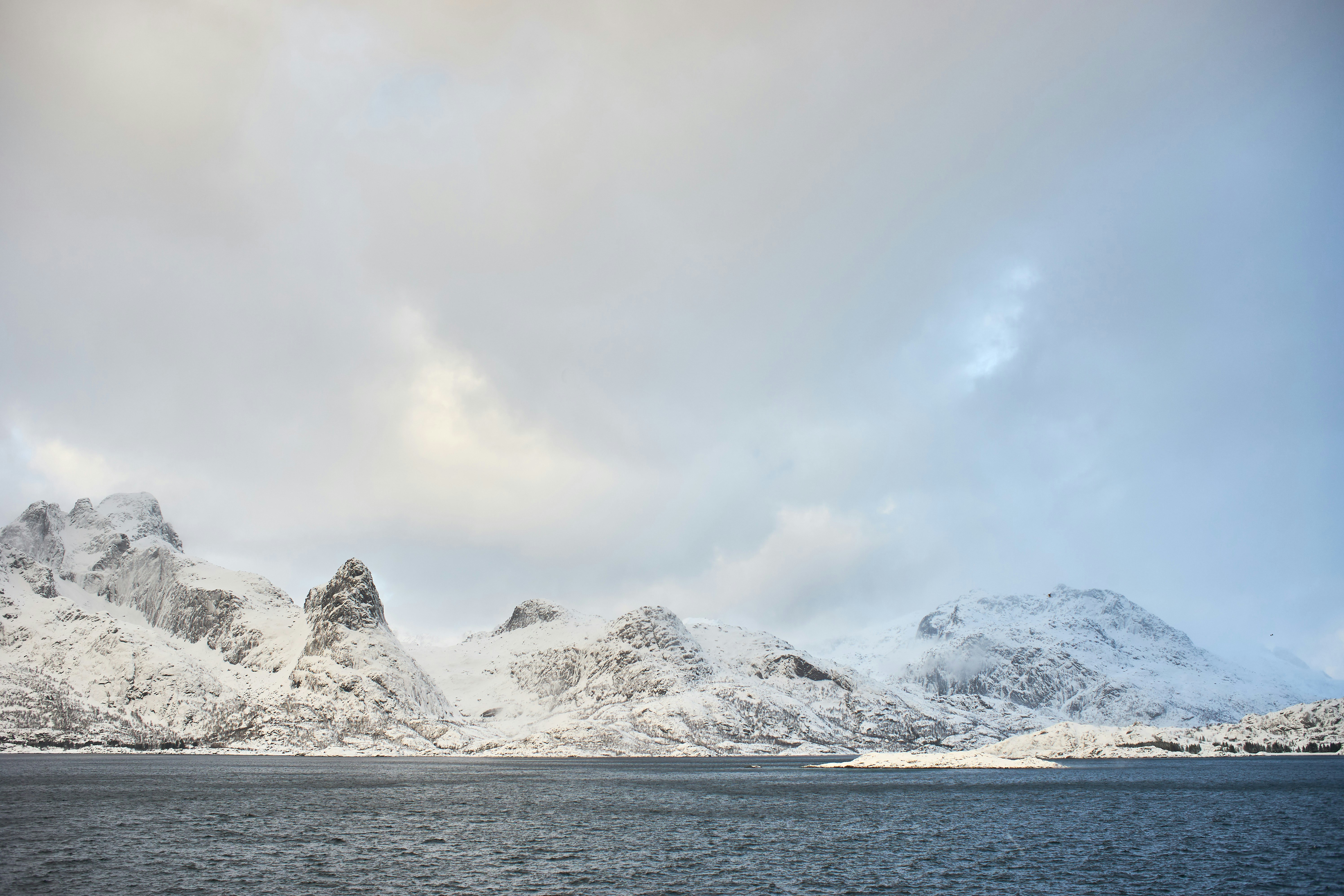 Photo by wolfgang_hasselmann