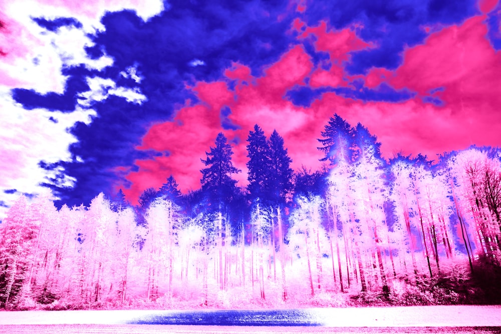 a infrared image of a forest with trees and clouds