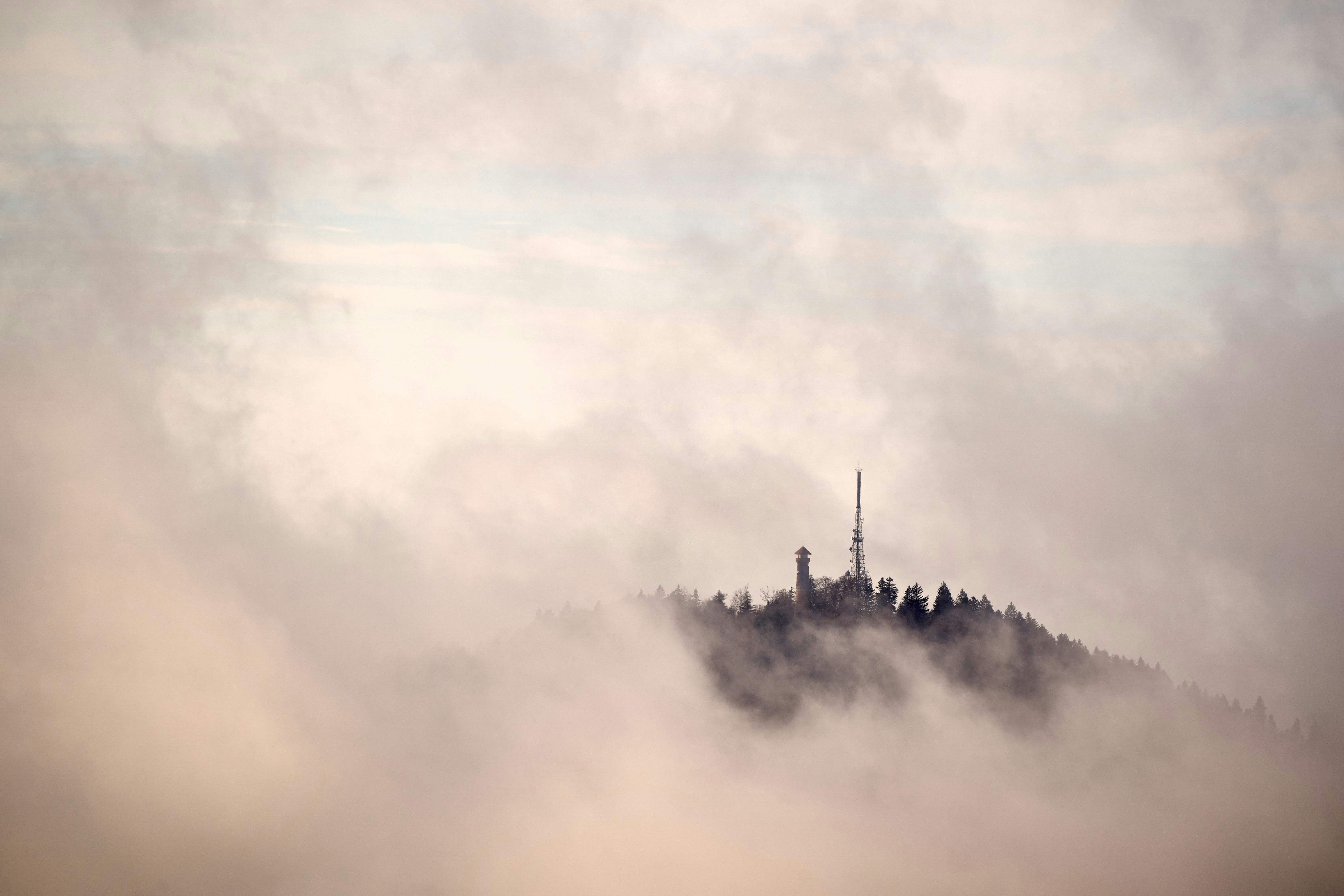 Photo by wolfgang_hasselmann