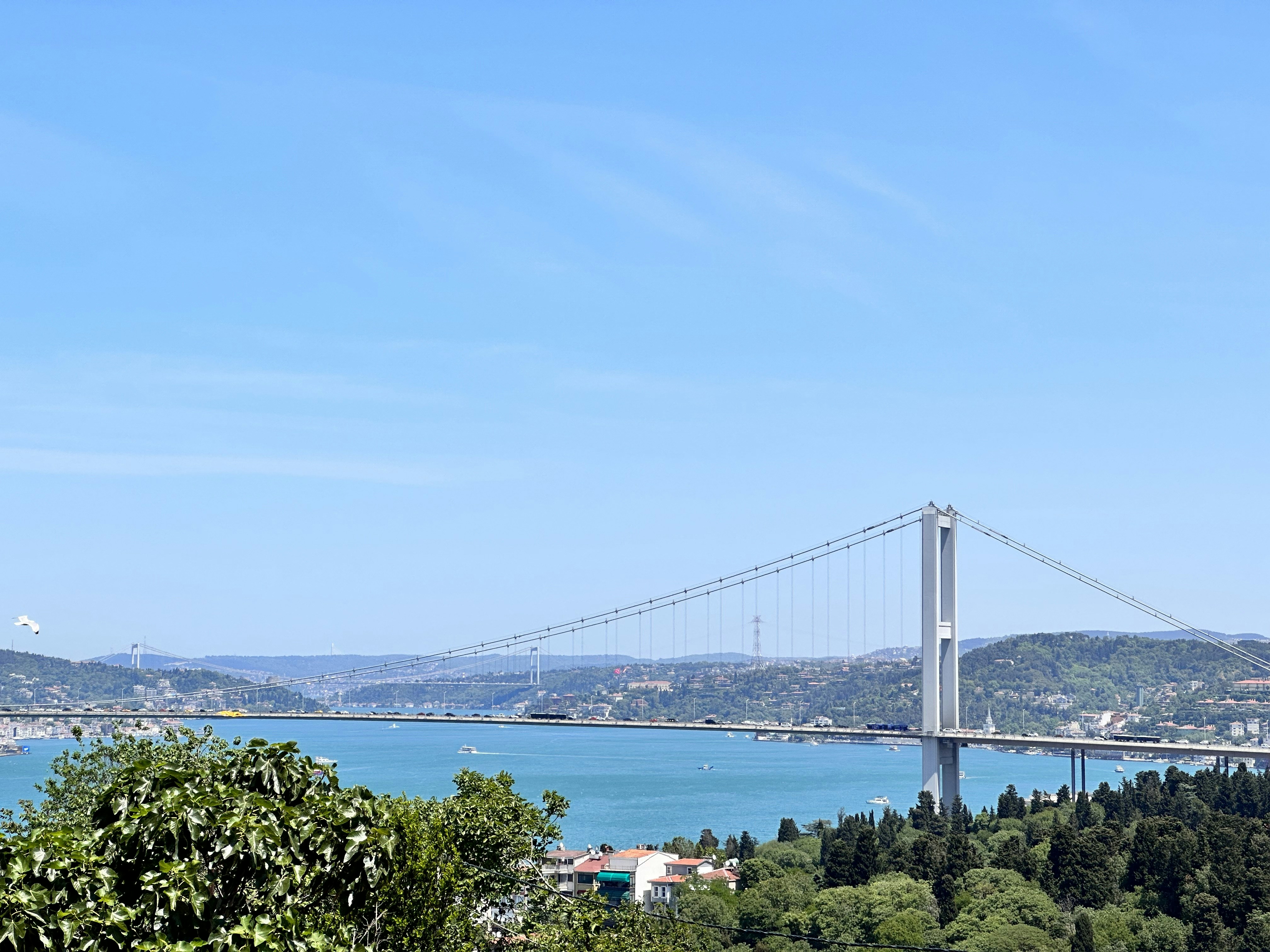 Photo by _jeremiah85_