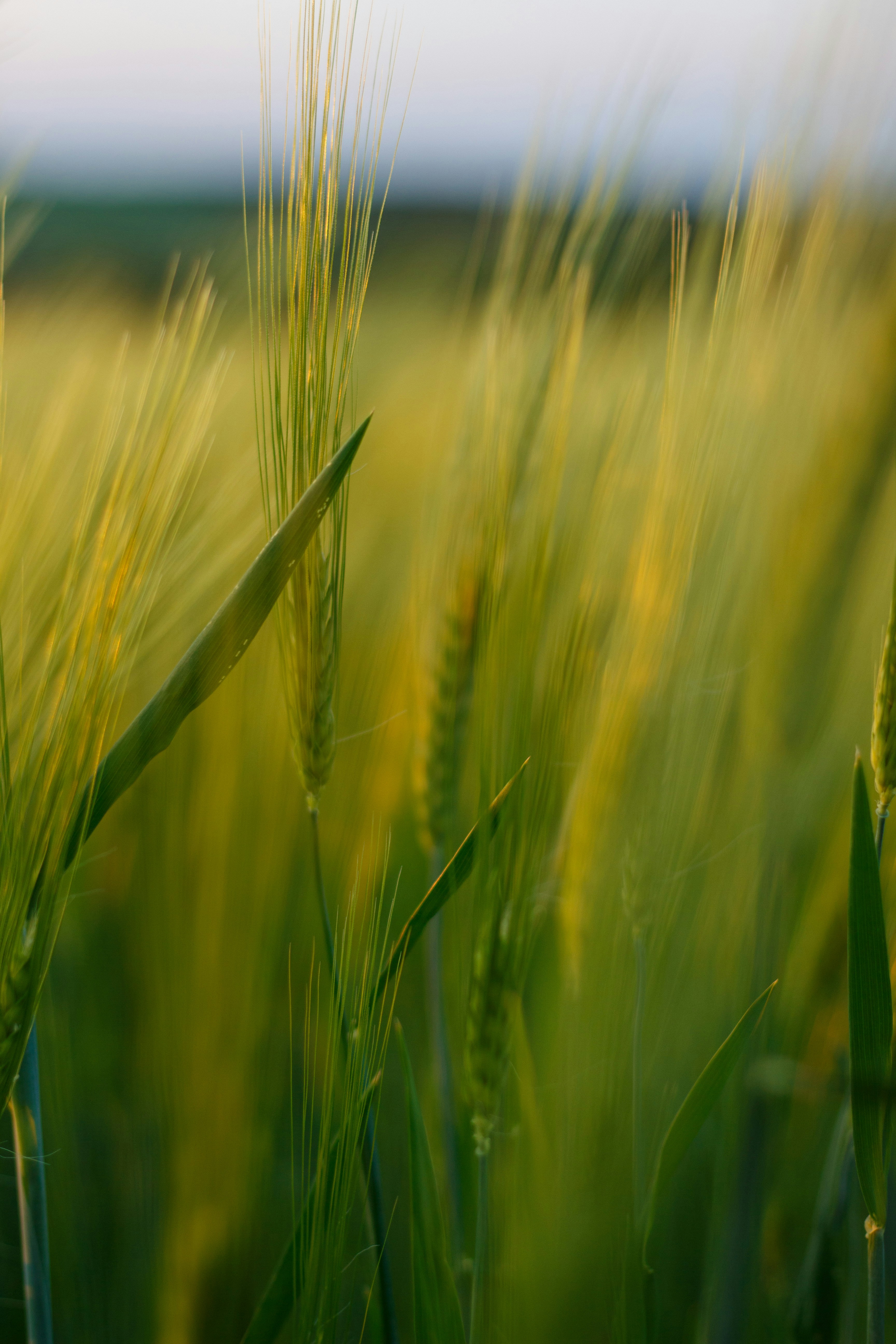 Photo by viktorsmoliak