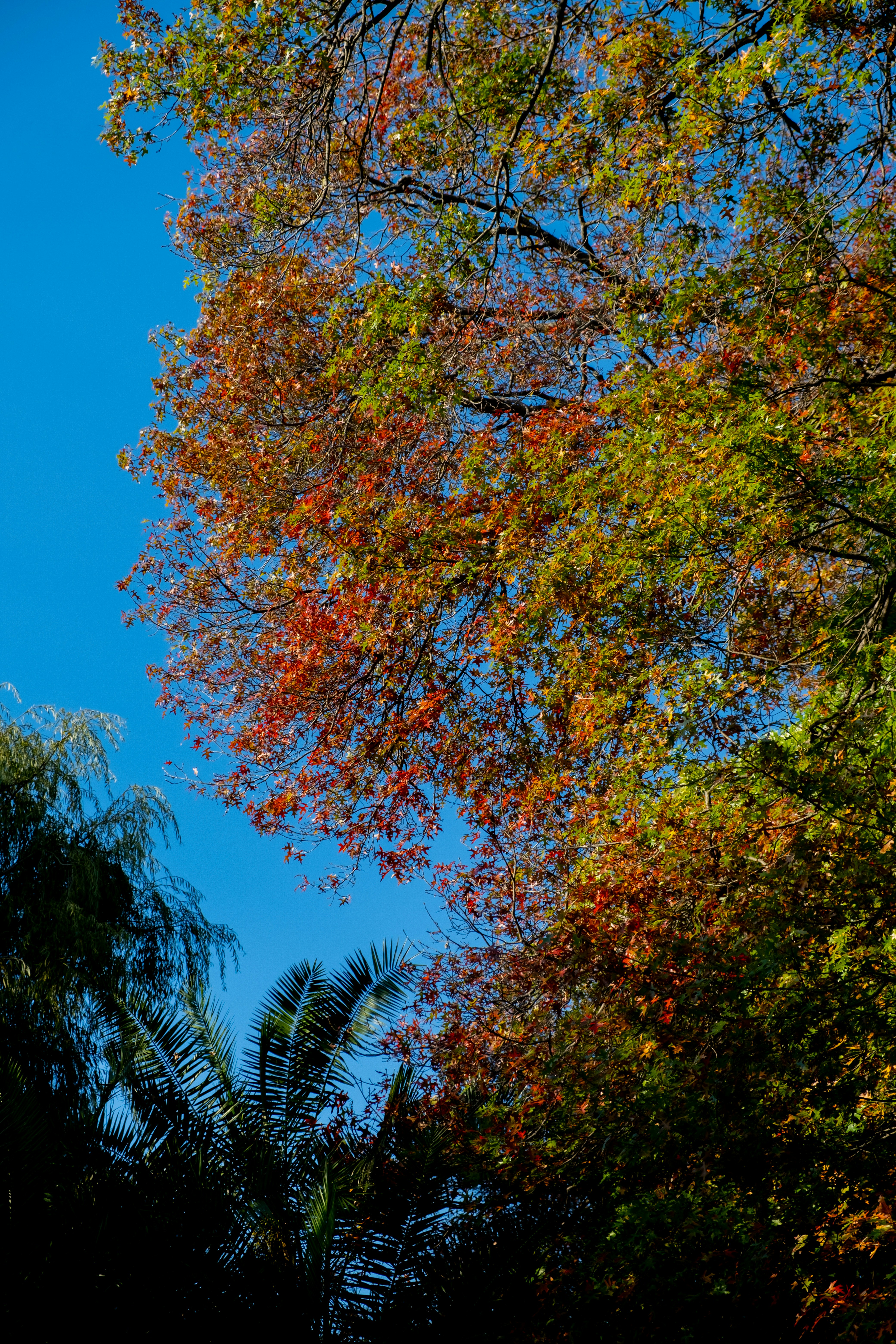 Photo by ishootiniphone