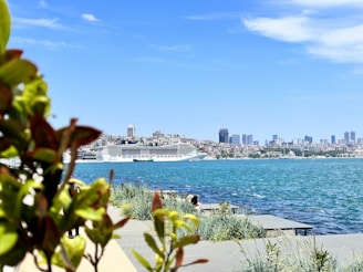 a view of a body of water with a city in the background