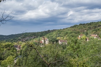 A scenic landscape of a village nestled in a lush green forest. The village consists of several houses with red roofs scattered among the dense trees. In the distance, a hilly terrain covered with trees can be seen under a cloudy sky.