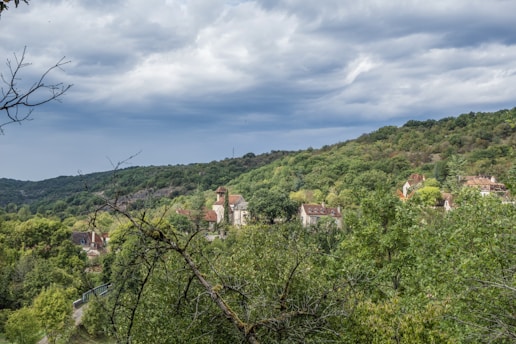 A scenic landscape of a village nestled in a lush green forest. The village consists of several houses with red roofs scattered among the dense trees. In the distance, a hilly terrain covered with trees can be seen under a cloudy sky.