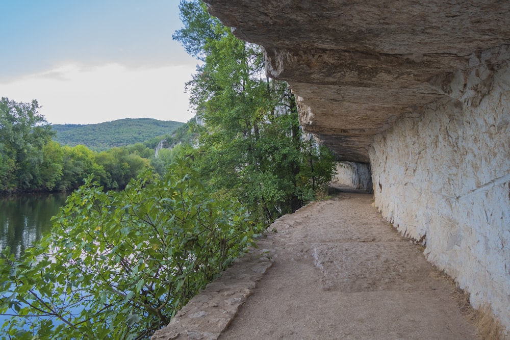 a view of a river from a cave