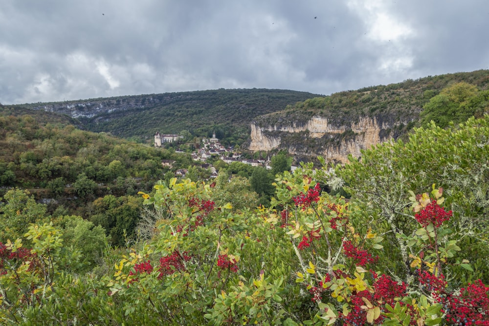 Una vista panorámica de un valle con montañas al fondo