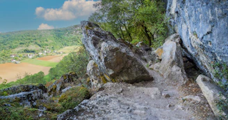 a view of a valley from a high cliff