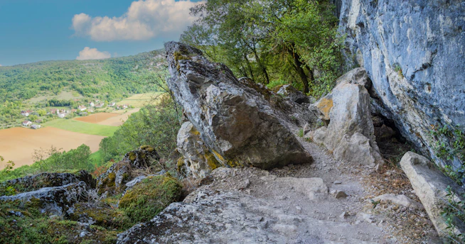 a view of a valley from a high cliff