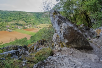 Scenic rural landscape integrating ornamental rocks with cultivated greenery and rustic elements.
