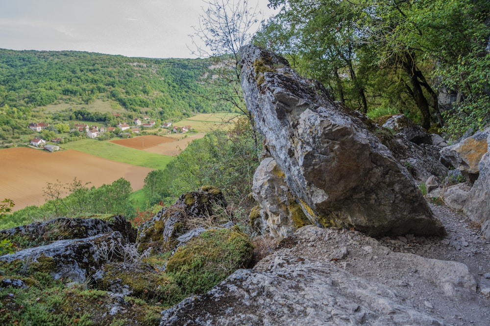 a large rock sitting on top of a lush green hillside