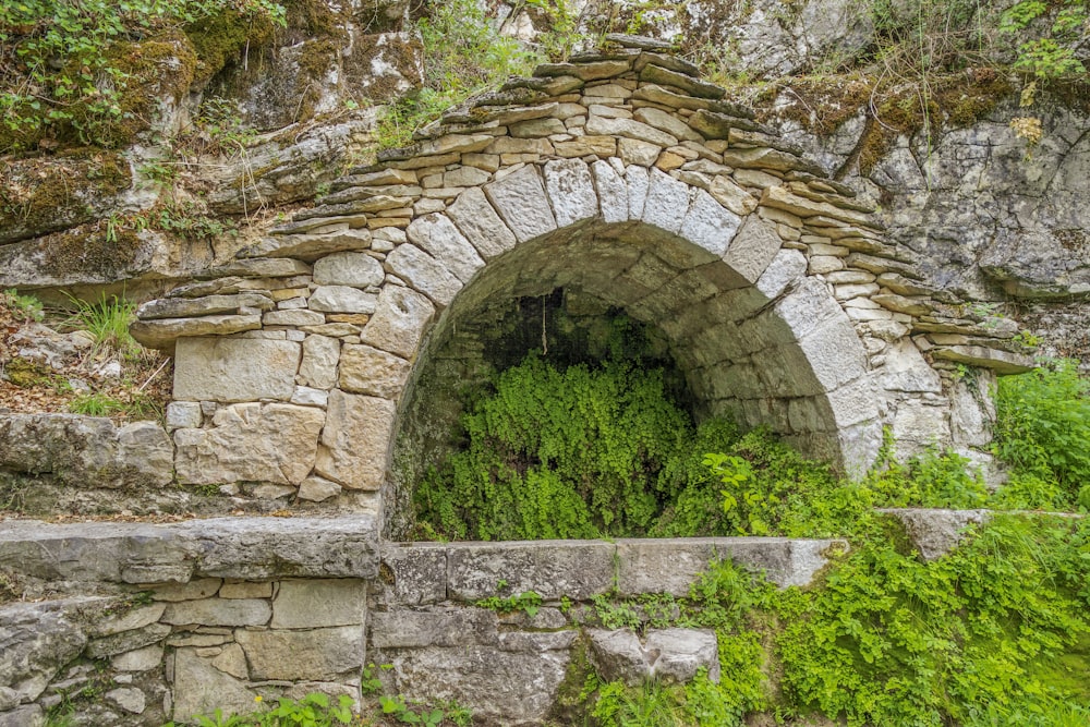 a stone tunnel with a green plant growing out of it