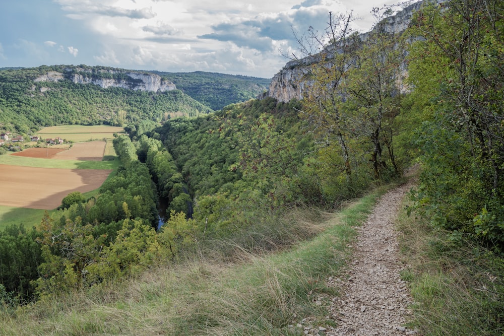 a dirt path in the middle of a lush green valley