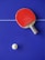 A red table tennis paddle is placed on a blue table tennis table with a white ball nearby. The table has a white line dividing it.
