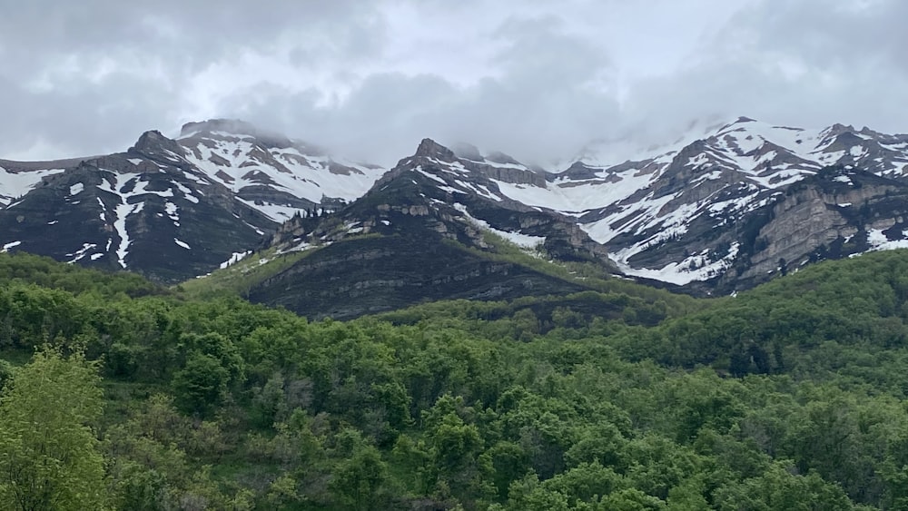 Le montagne sono coperte di neve e alberi verdi