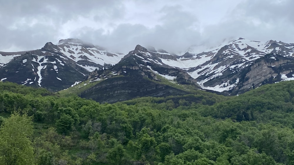 the mountains are covered in snow and green trees