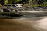 A tranquil scene of flowing water in a lush forest.