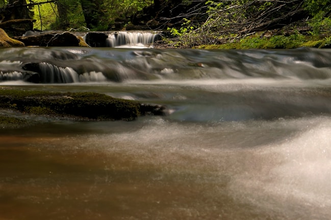 A tranquil scene of flowing water in a lush forest.