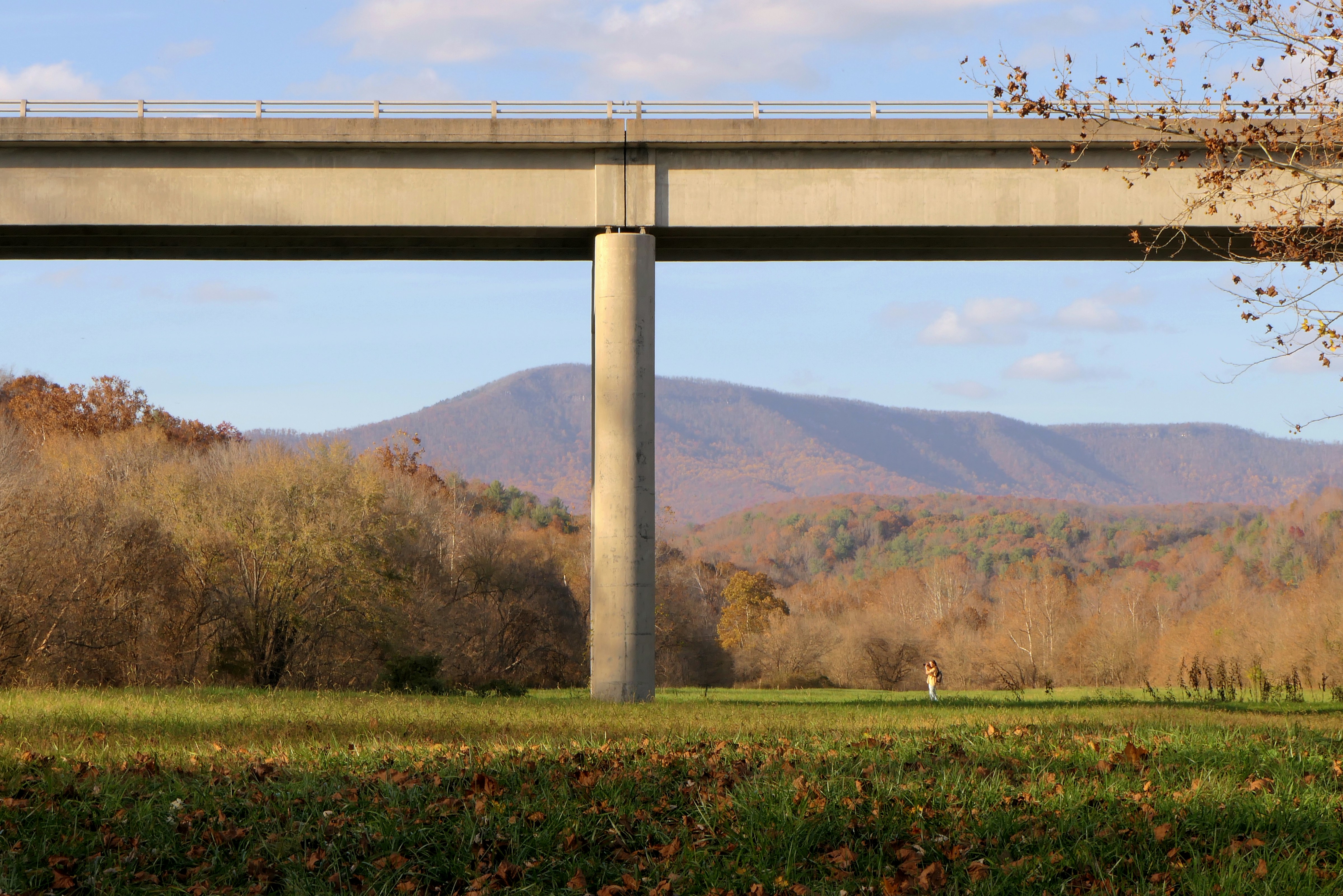a large bridge over a lush green field