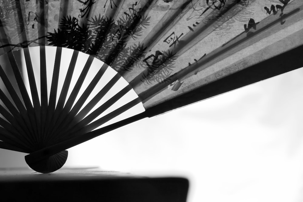 a black and white photo of a fan