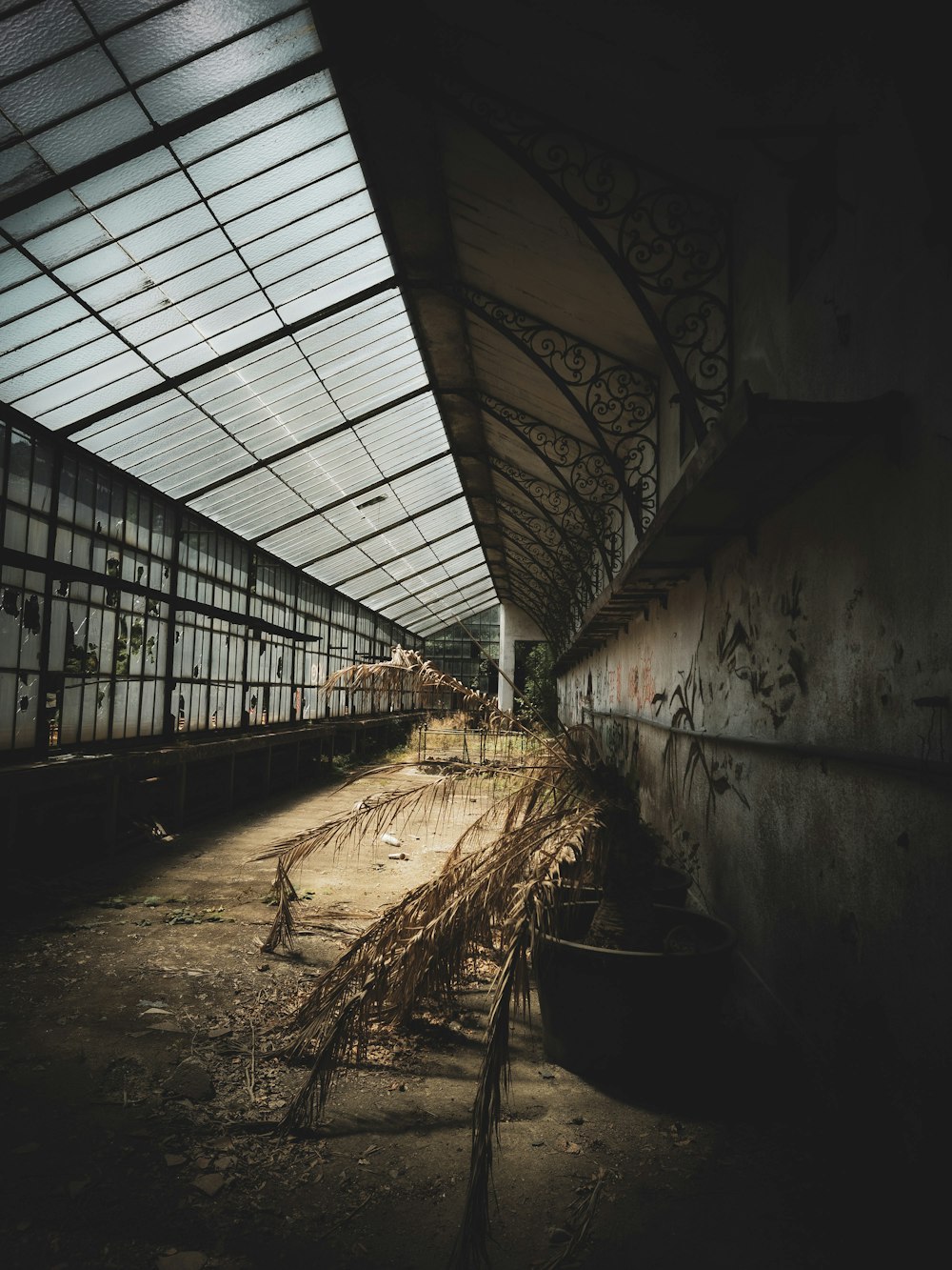 an abandoned building with a bunch of plants in it