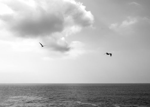 A serene seascape with two birds flying gracefully under a sky filled with soft, fluffy clouds. The ocean's horizon stretches across the middle of the image, creating a sense of calm and open space.