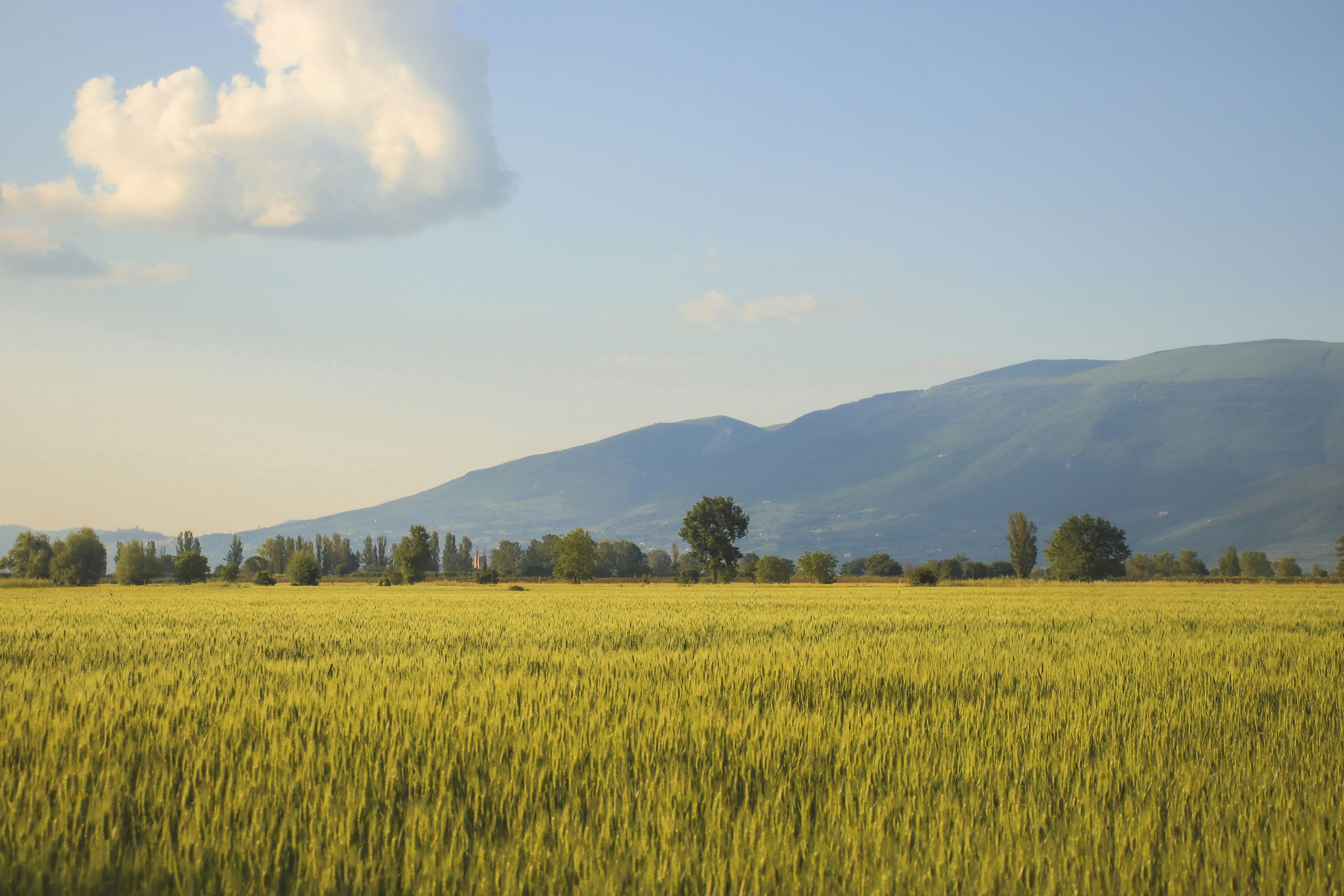 Photo by cole_ciarlello