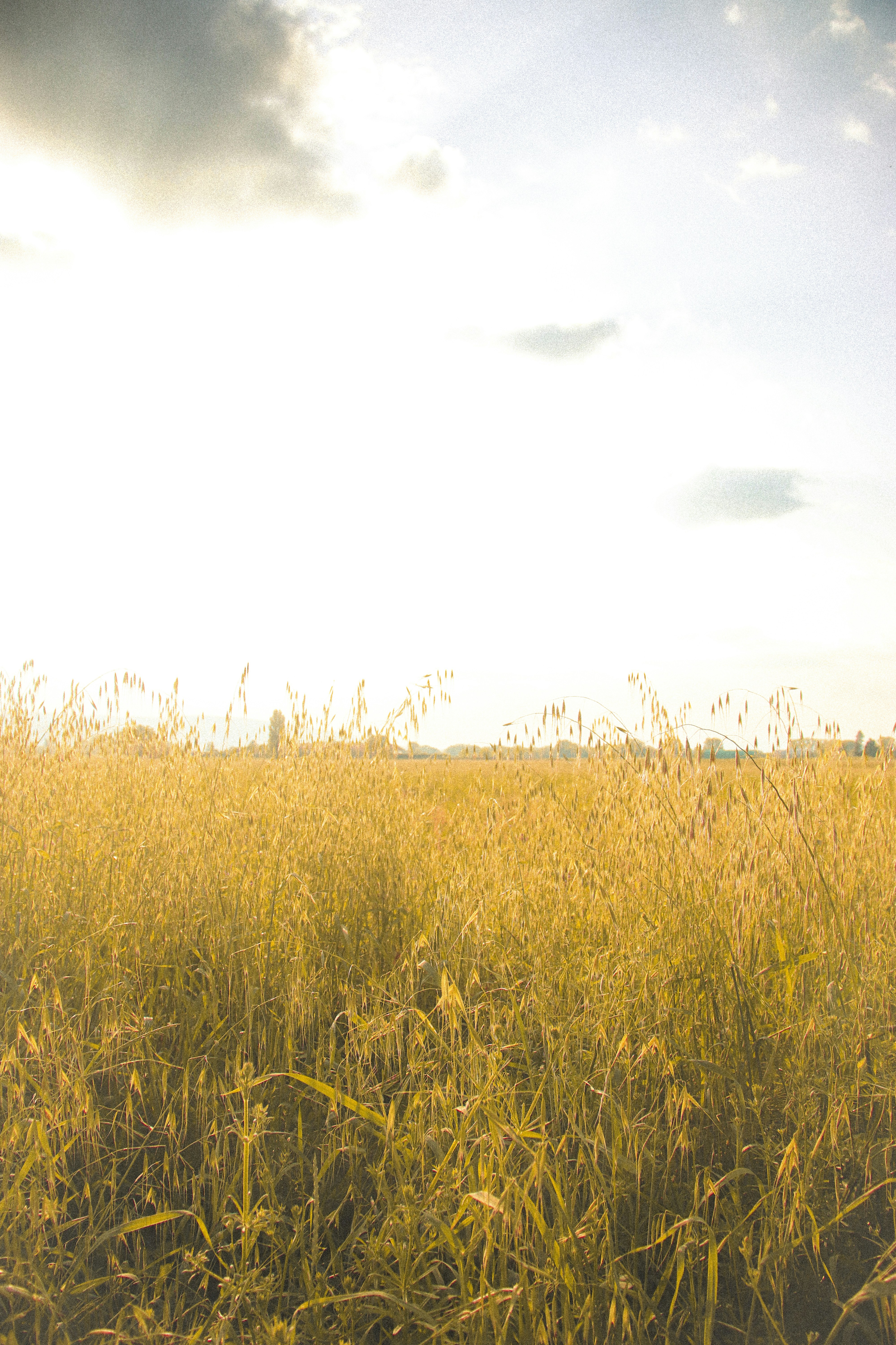 Photo by cole_ciarlello