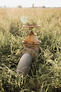 a fire hydrant in the middle of a field