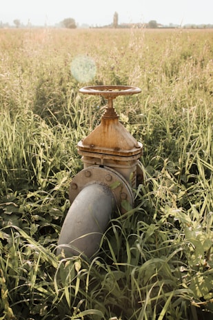 a fire hydrant in the middle of a field