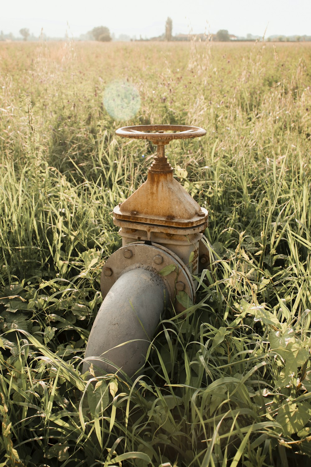 um hidrante no meio de um campo