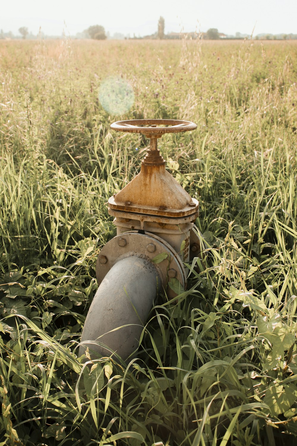 a fire hydrant in the middle of a field