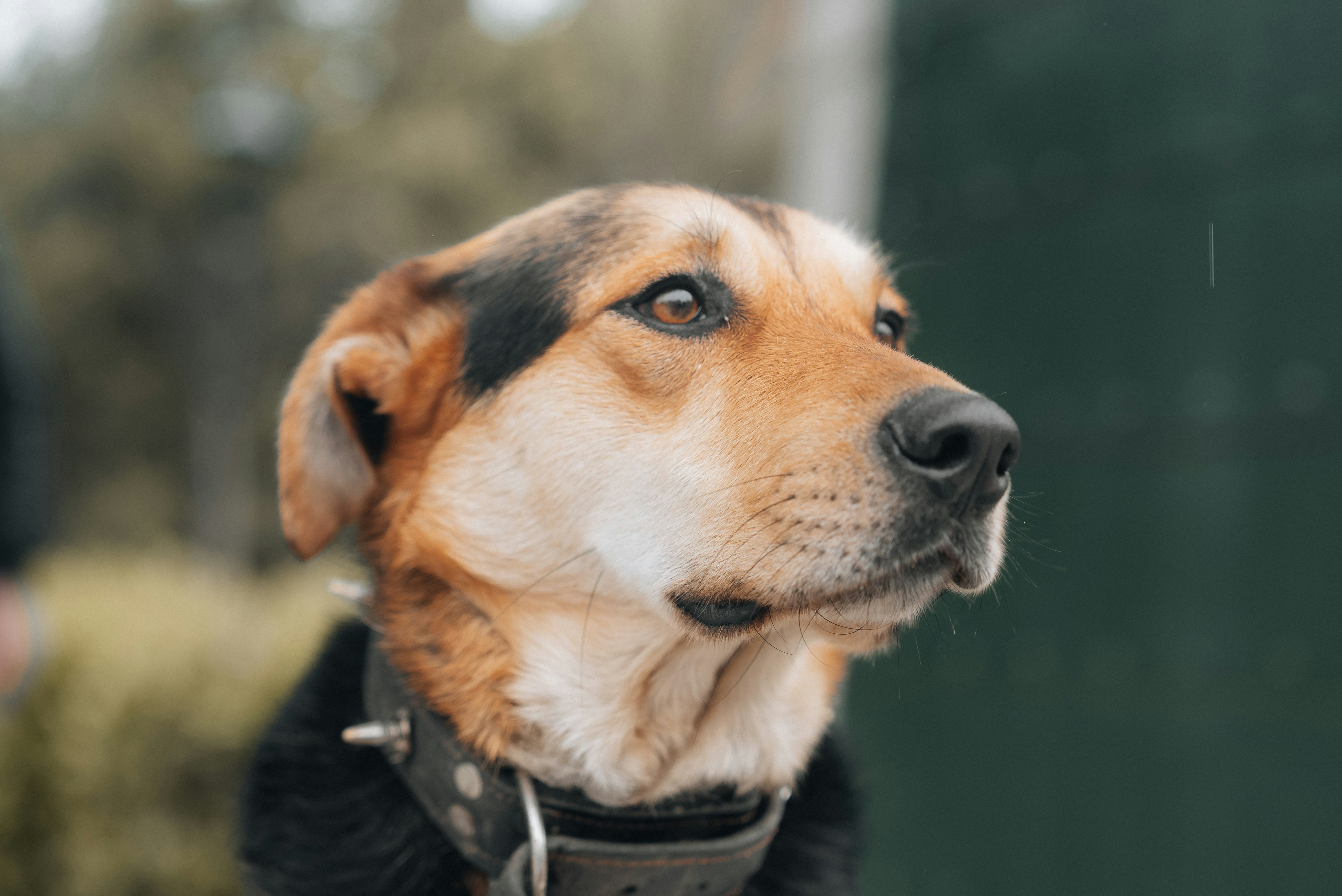 Photo by nejc_soklic