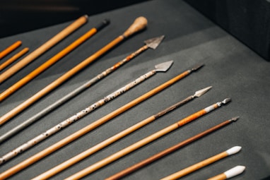 a bunch of different types of paint brushes
