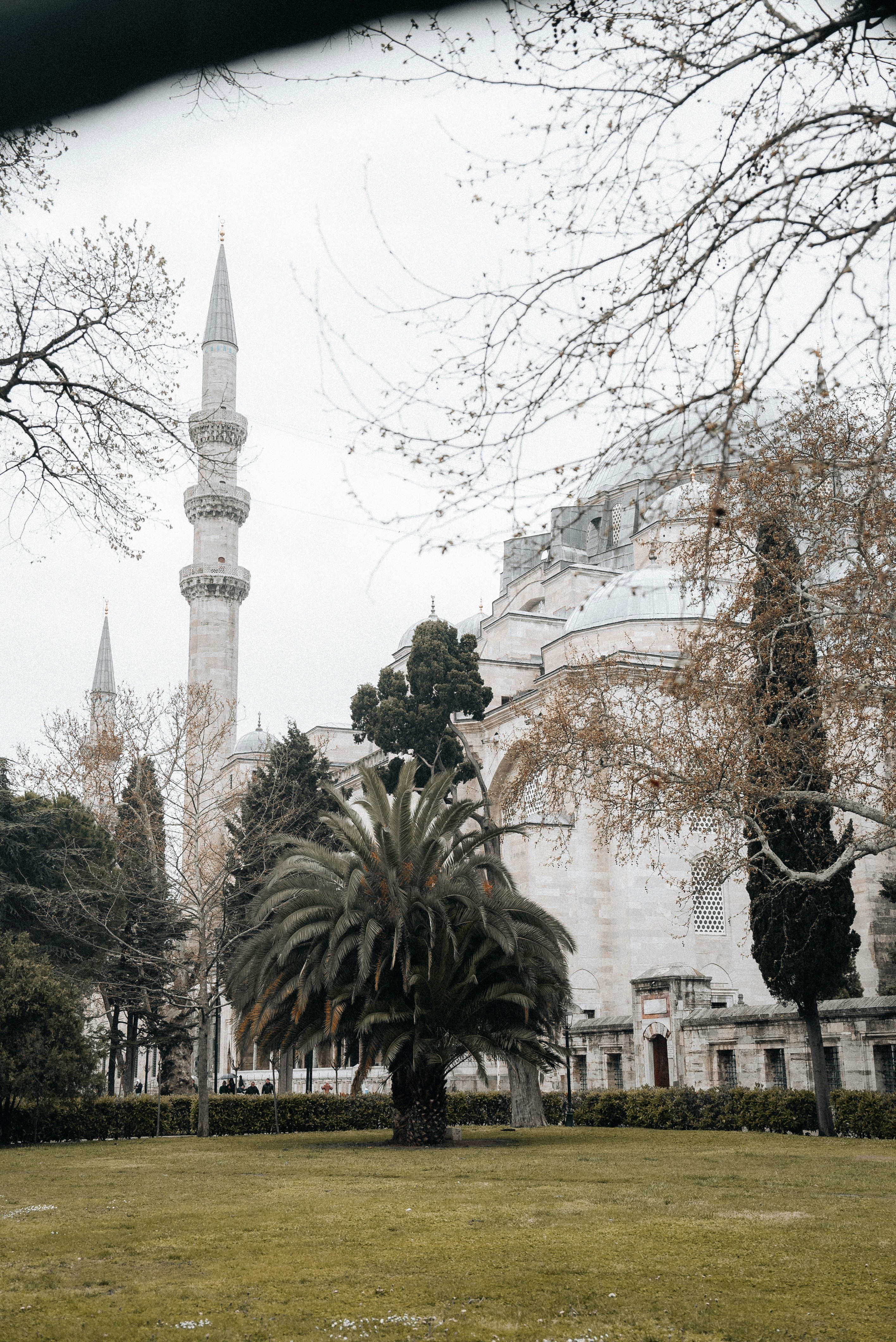 a large white building with a large tree in front of it
