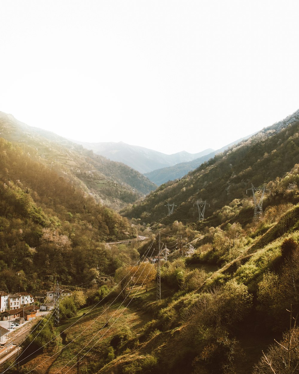 a train traveling through a lush green hillside