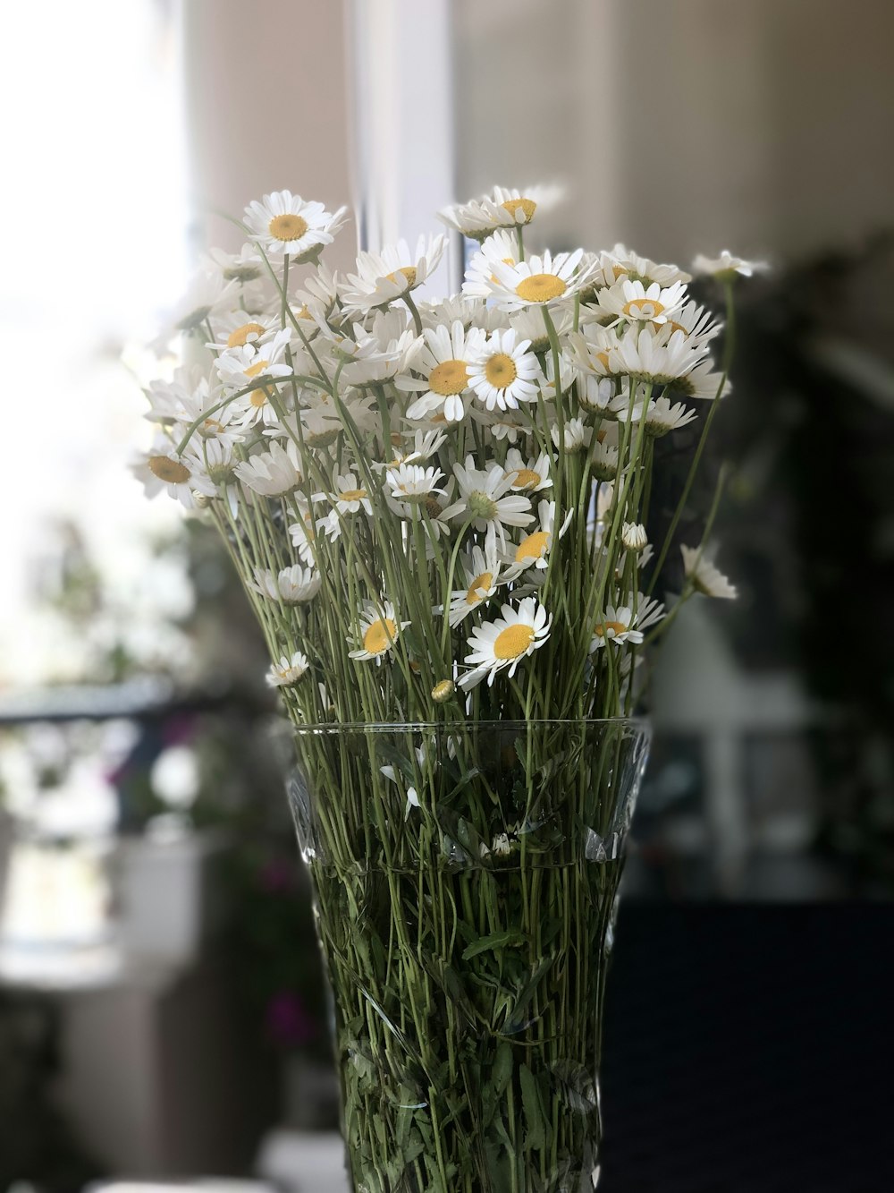 a vase filled with white and yellow flowers