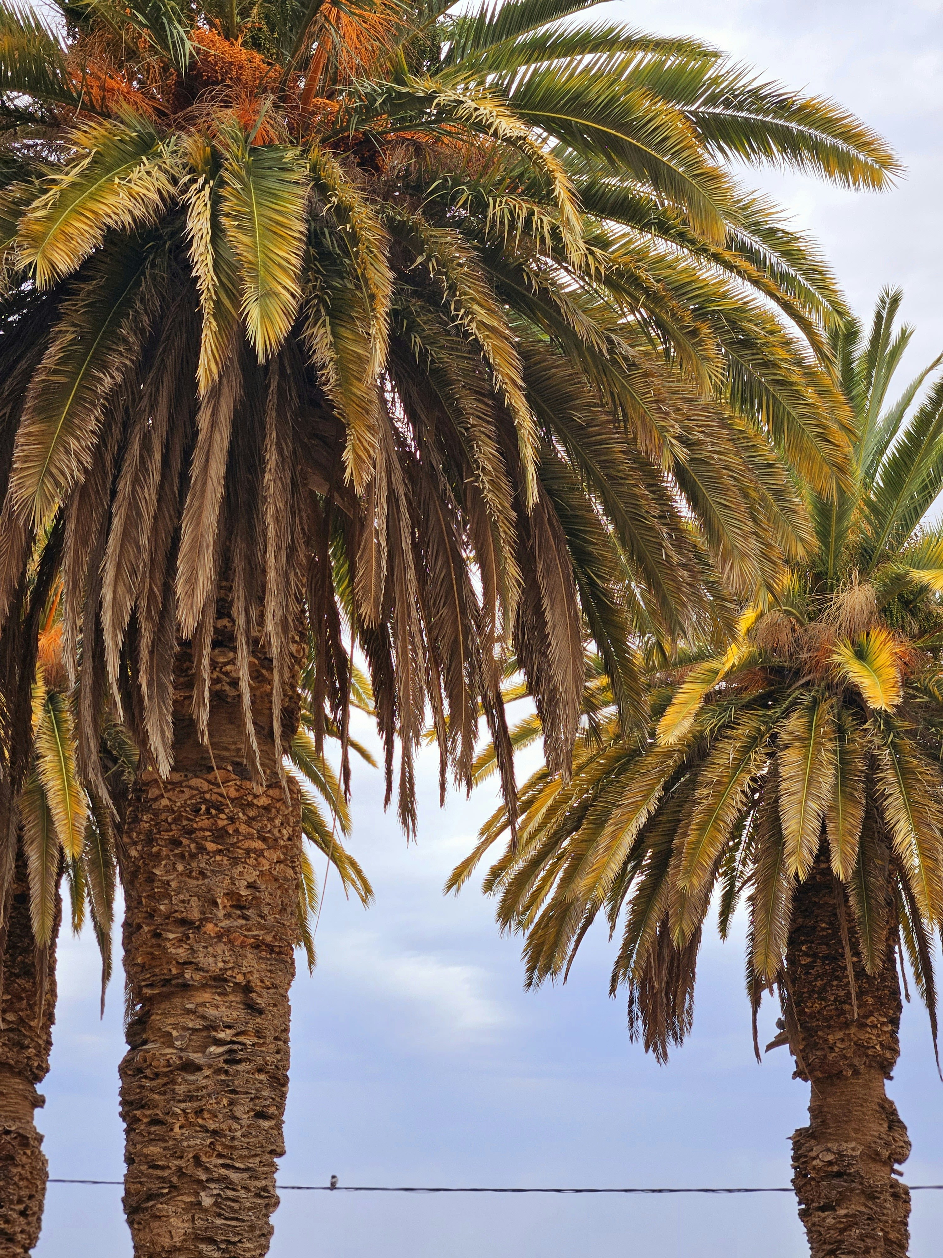 Photo by wanderlust46