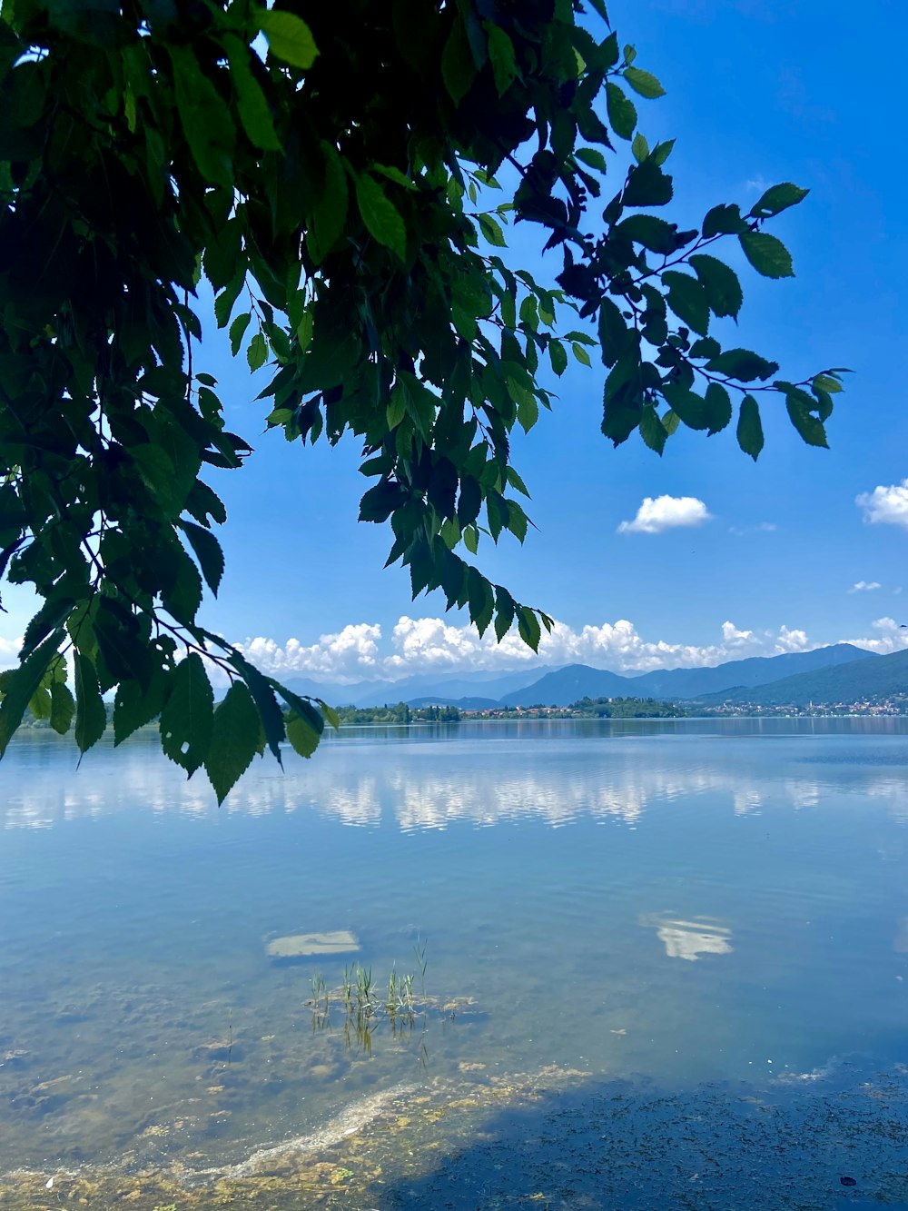 a body of water surrounded by trees and mountains