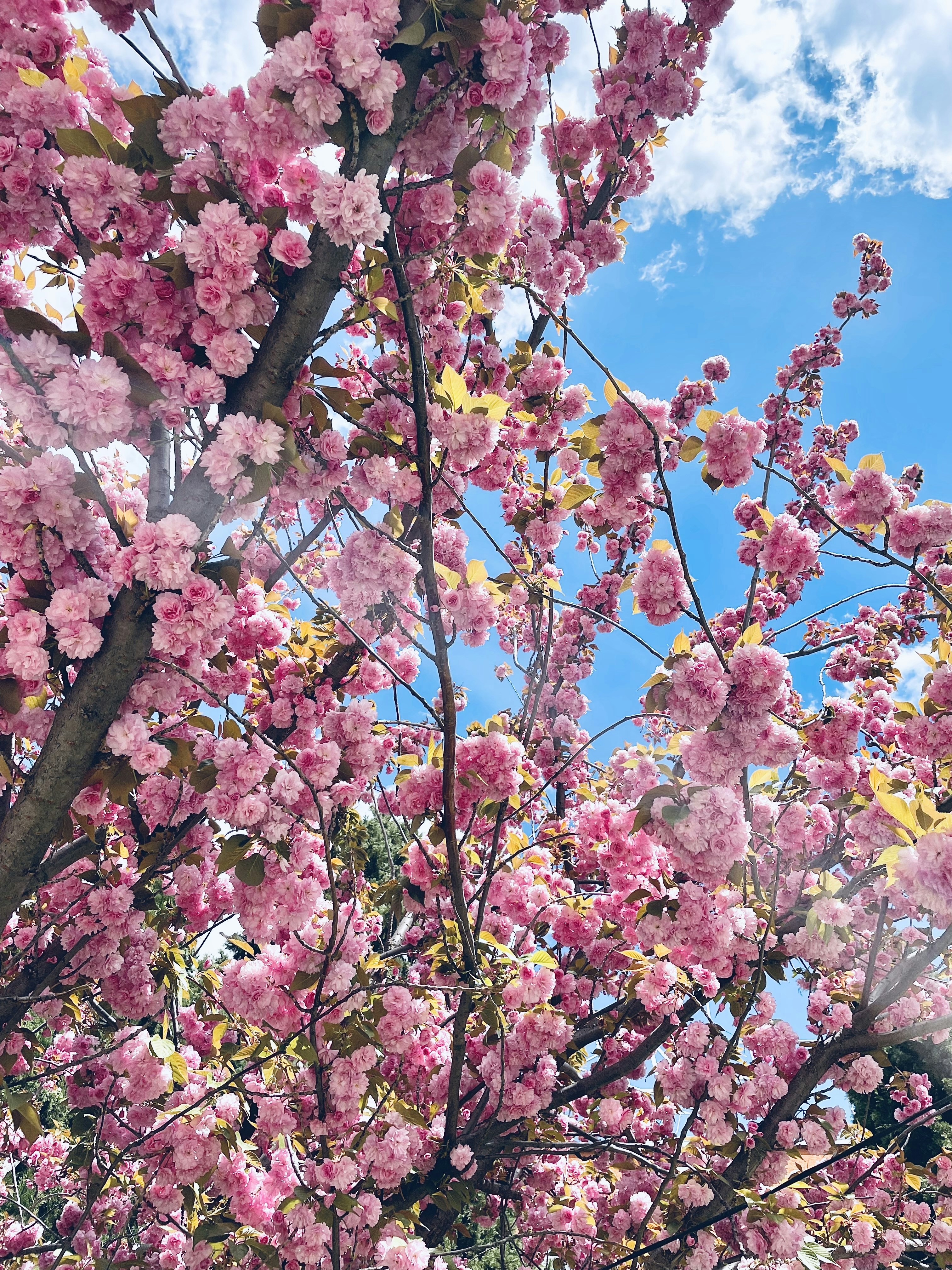 Photo by dtdimitroff