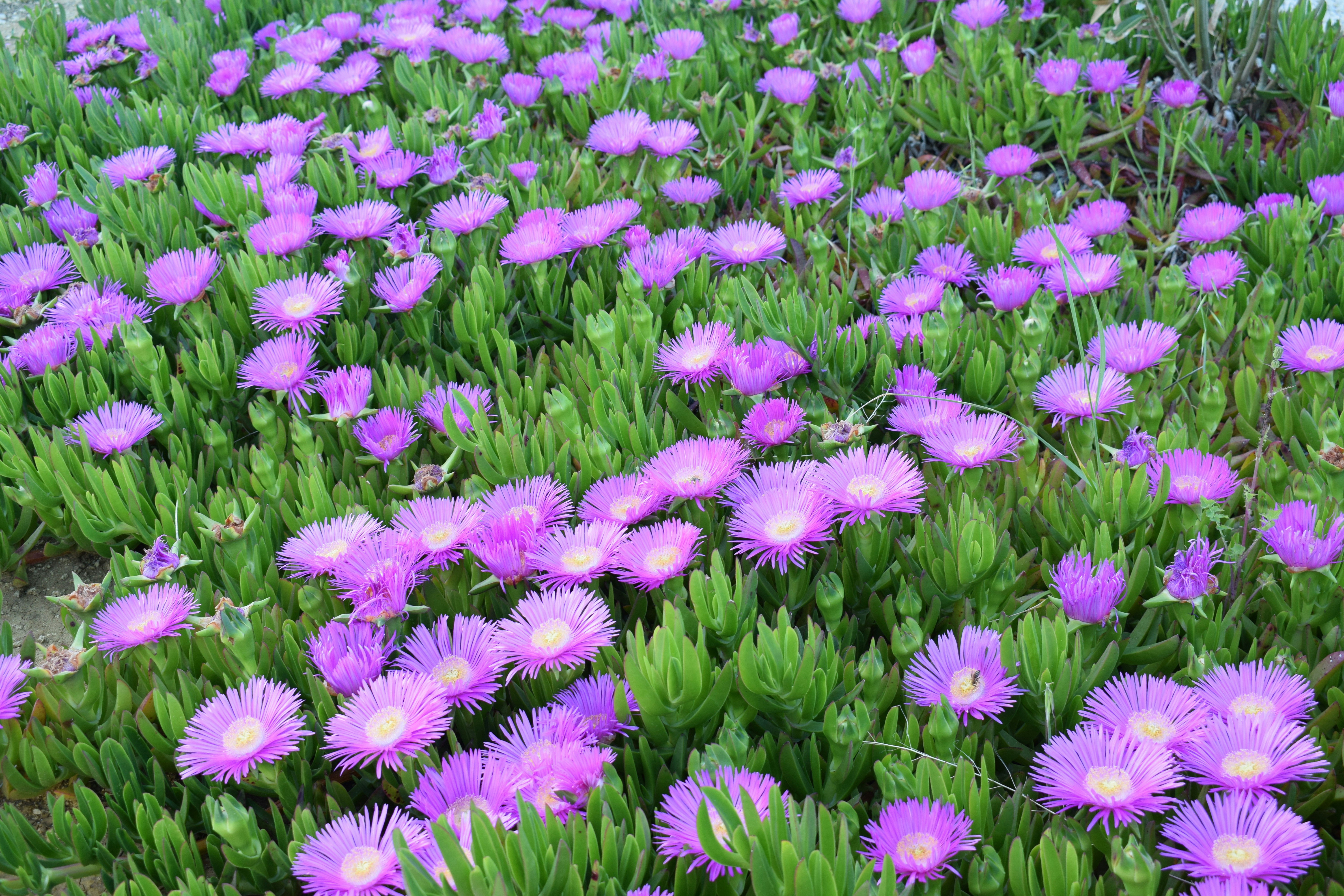 Photo by kristina001